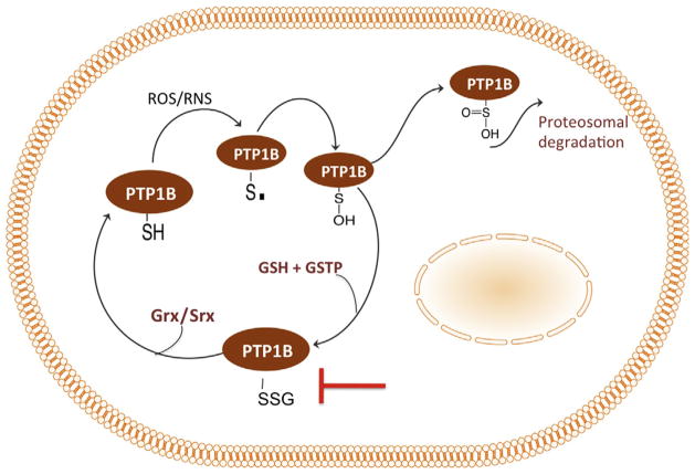 Figure 4.4