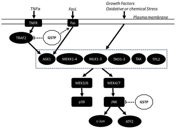 Figure 4.2