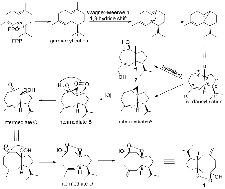 Scheme 1