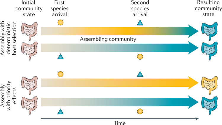 Figure 2 |