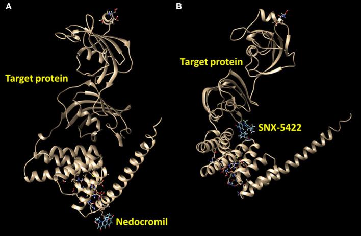 Figure 5