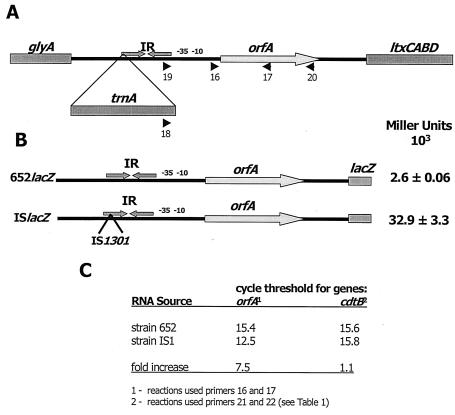 FIG. 1.