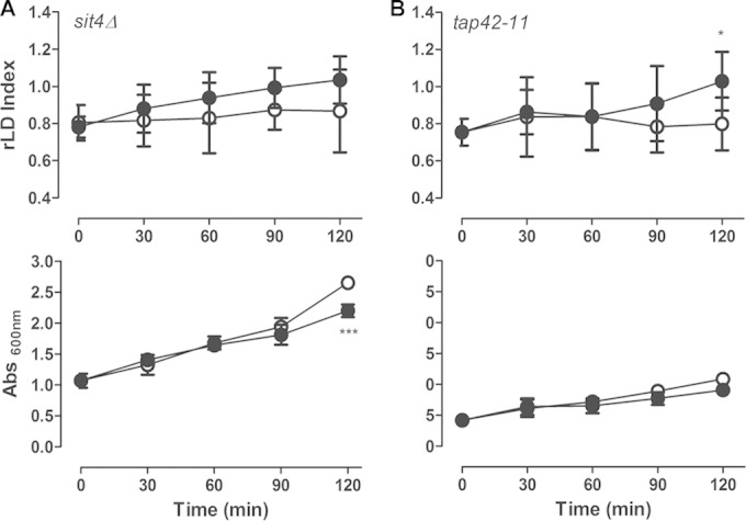 FIG 6