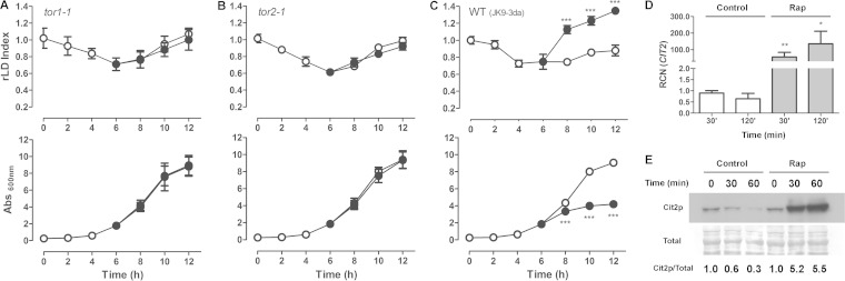 FIG 2