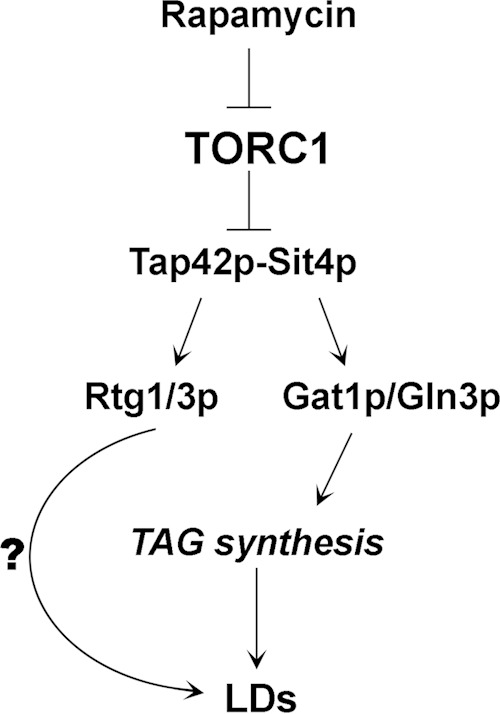 FIG 9