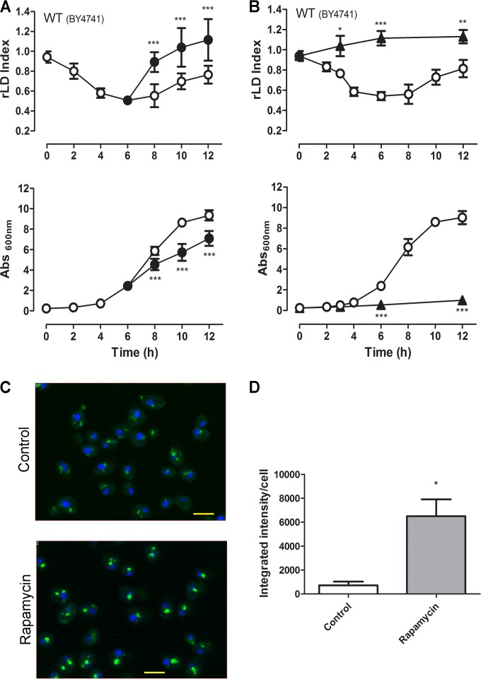 FIG 1