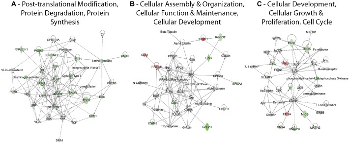 FIGURE 3