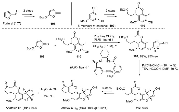 Scheme 16