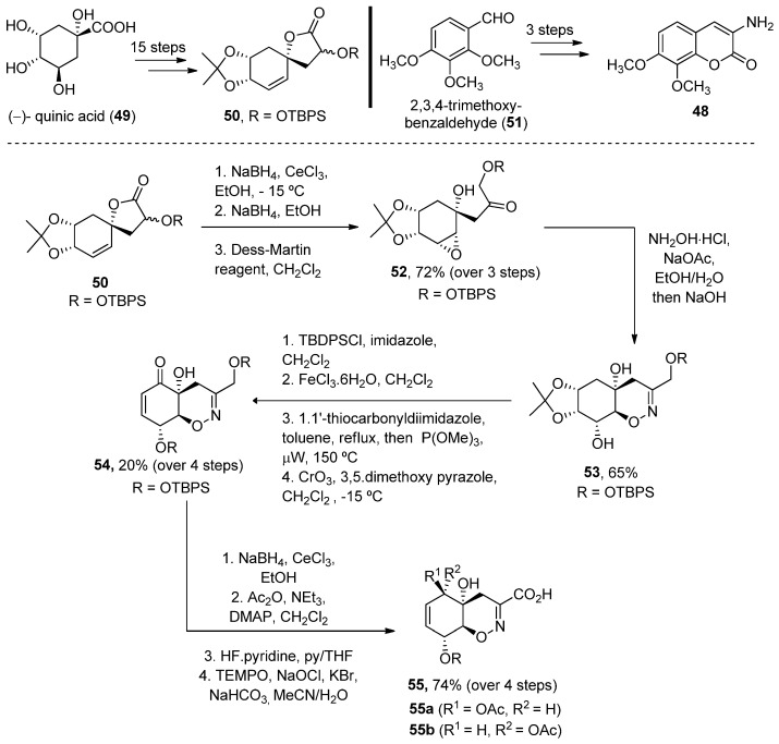 Scheme 6