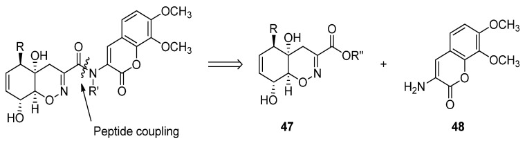 Scheme 5