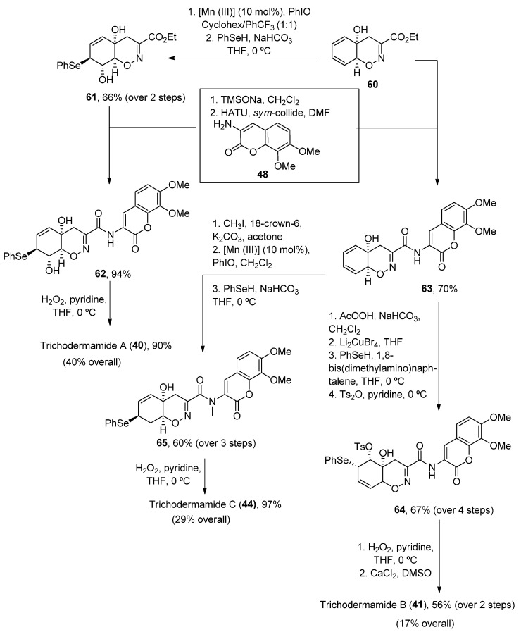 Scheme 9