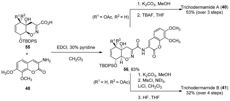 Scheme 7