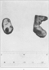 754-1