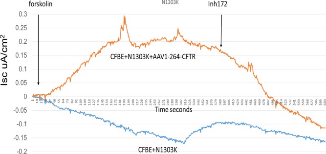 Fig 11