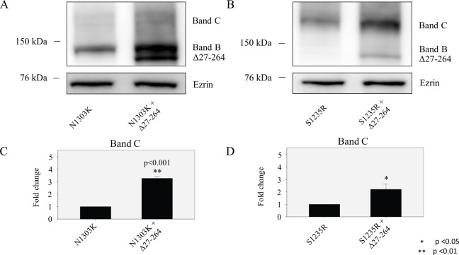 Fig 10