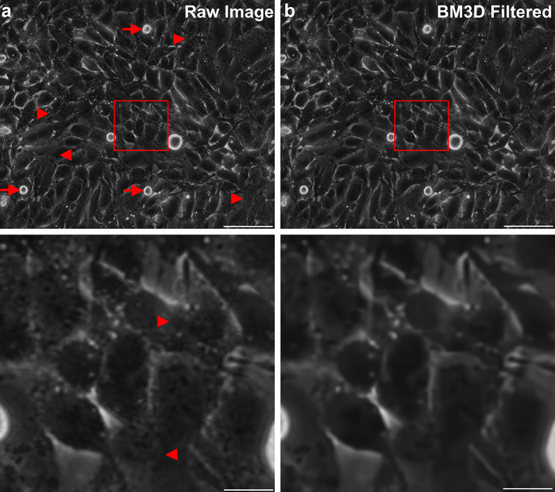 Figure 2.