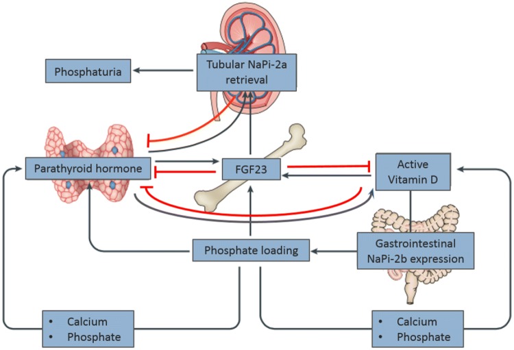 Fig. 1