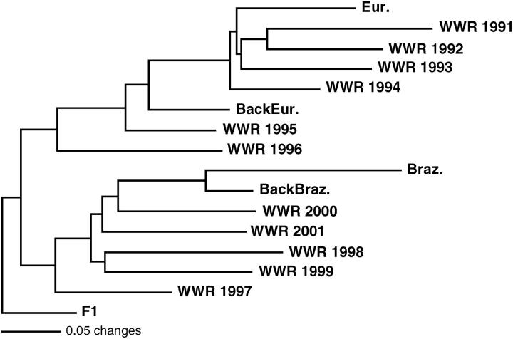 Figure 3.—