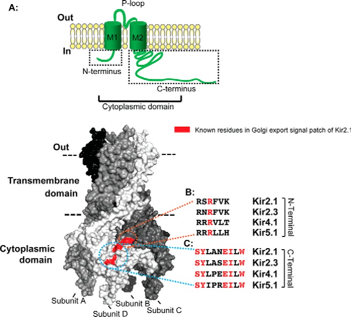 FIGURE 1.