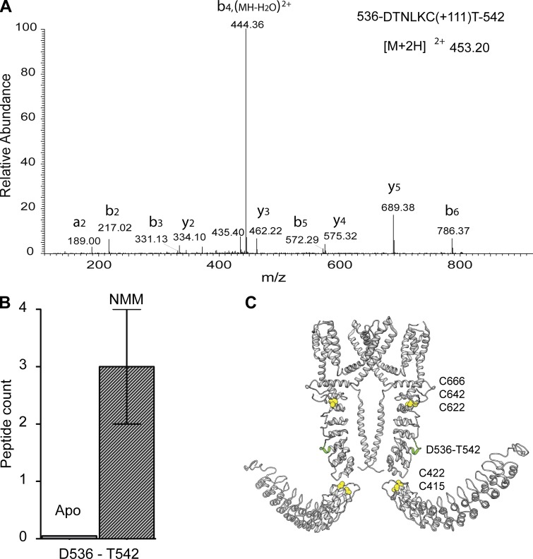 Figure 2.