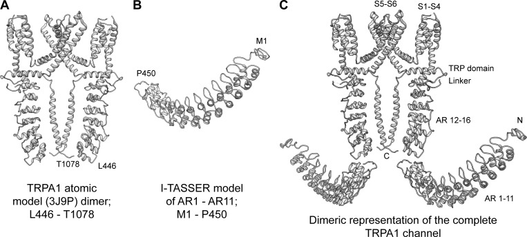 Figure 1.