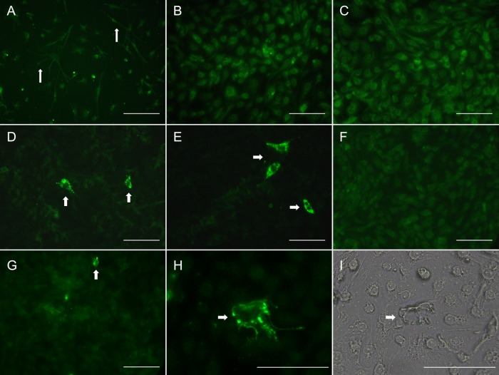 FIG 3