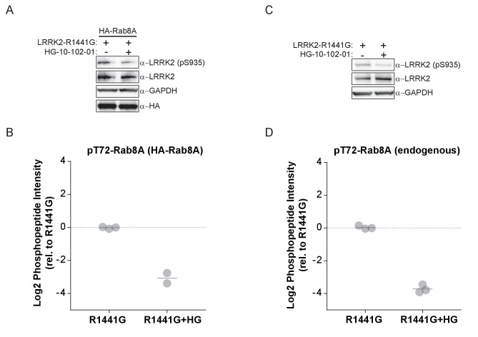 Figure 3—figure supplement 2.