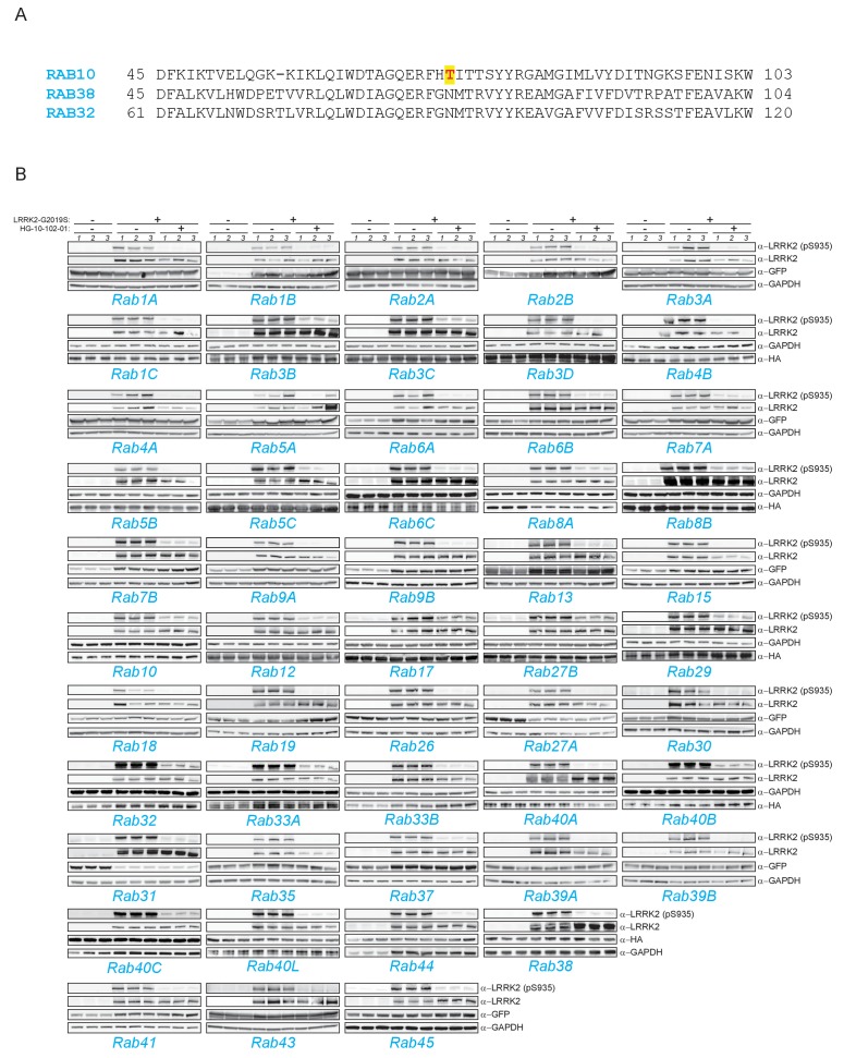 Figure 1—figure supplement 2.