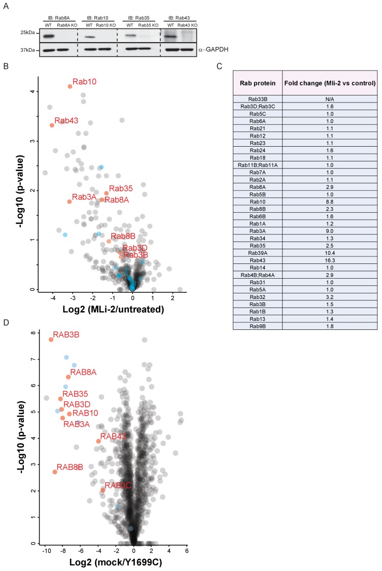 Figure 2—figure supplement 2.