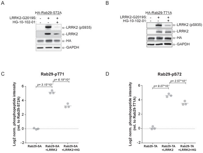 Figure 1—figure supplement 3.