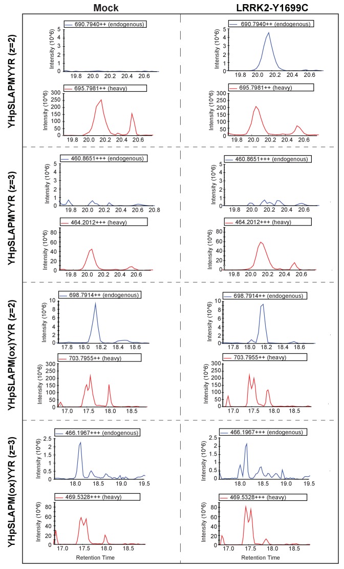 Figure 2—figure supplement 1.