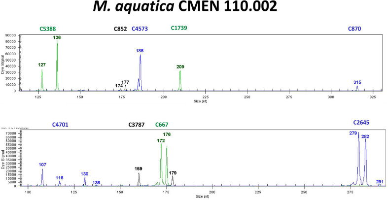 Figure 7