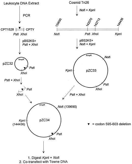 FIG. 1