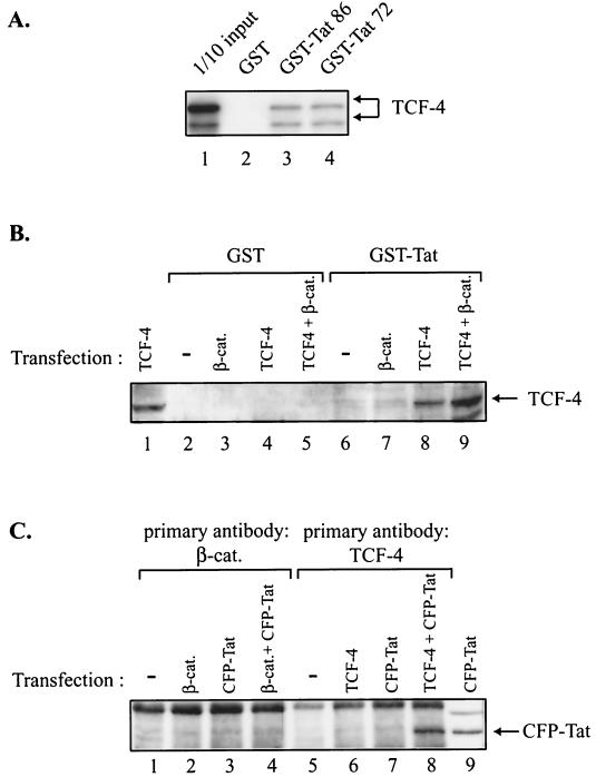 FIG. 4.