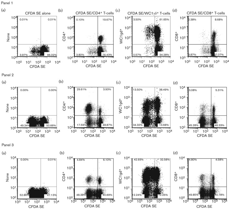 Fig. 3. 