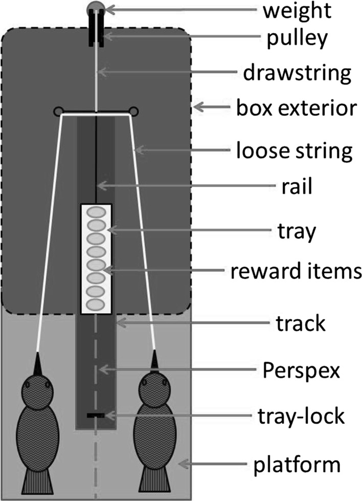 Fig. 1