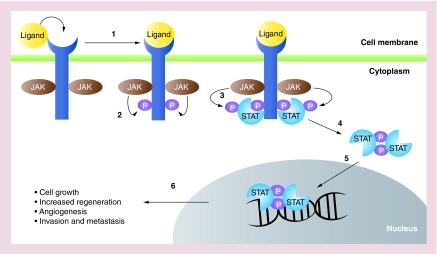 Figure 1. 