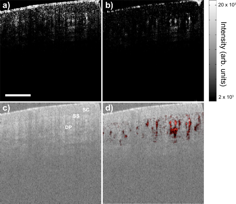 Fig. 3