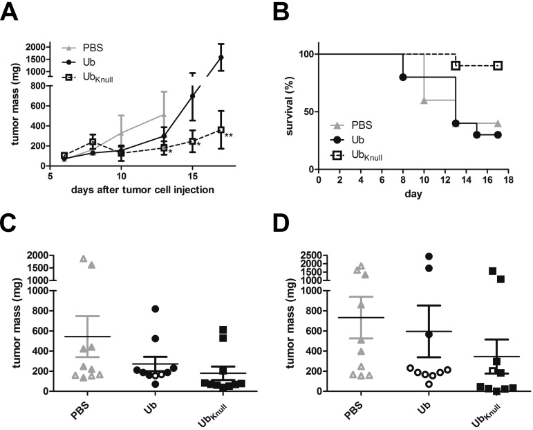 FIG 6 