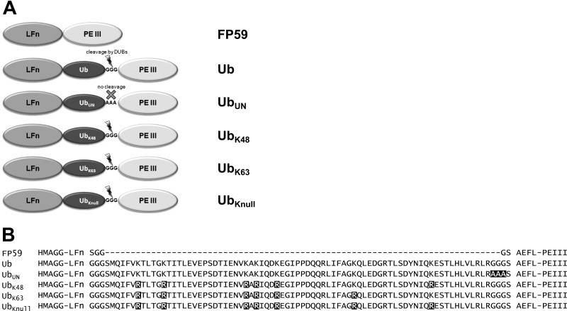 FIG 1 