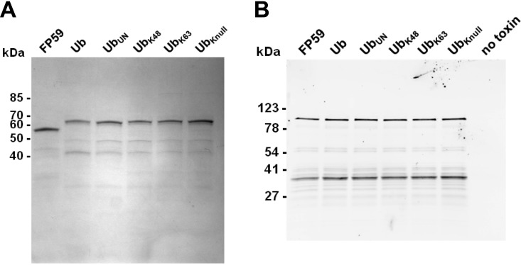 FIG 2 