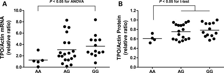 Figure 2.