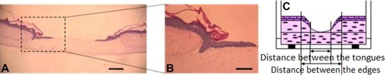 Fig. 1