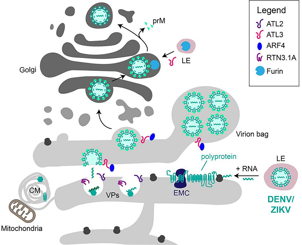 Figure 2: