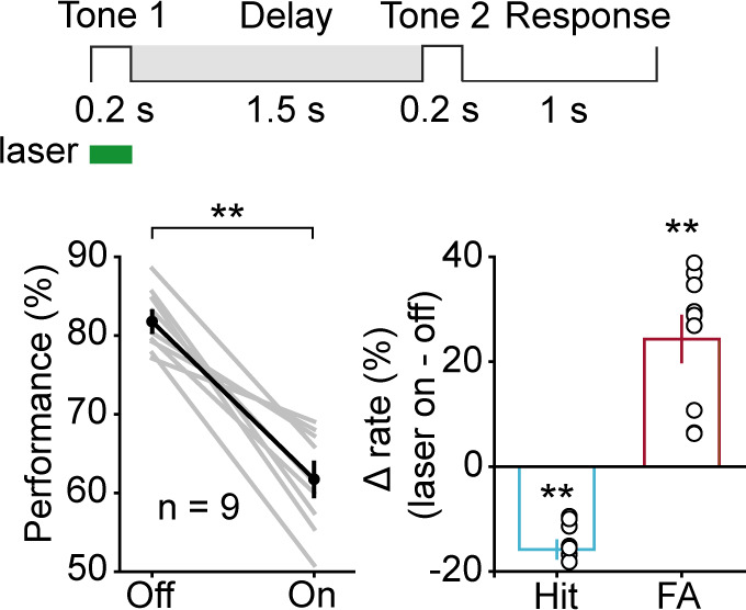 Figure 3—figure supplement 1.