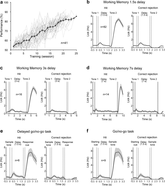 Figure 1—figure supplement 1.