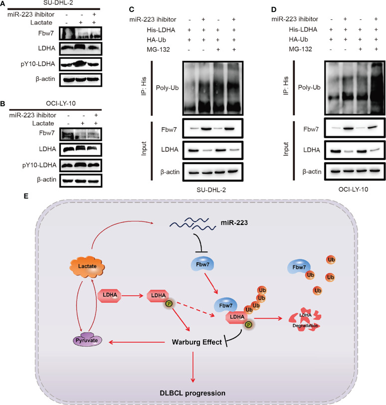 Figure 6