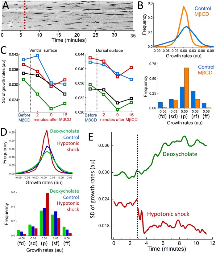 FIGURE 1: