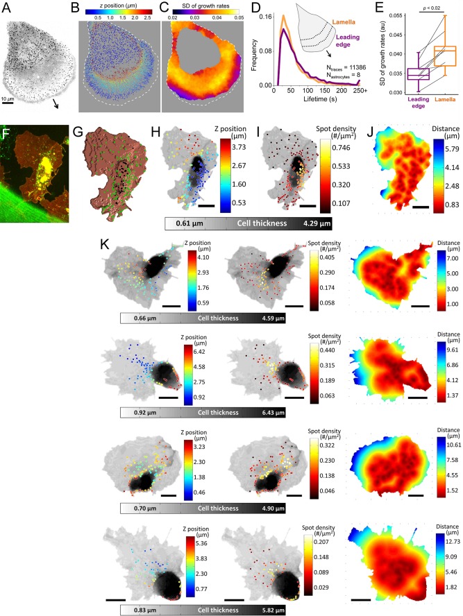 FIGURE 4: