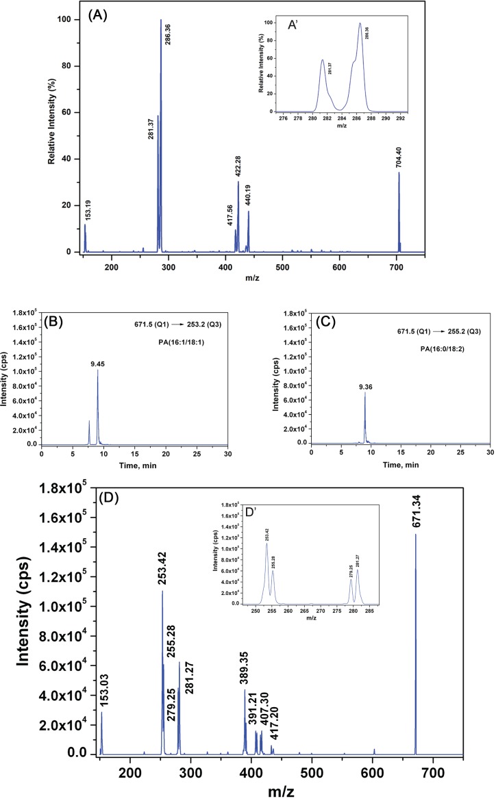 Figure 5